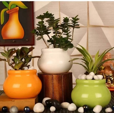 Nayi Umang Small mataki multicolor pack of 3 plant container set Plant Container Set(Pack of 3, Ceramic)