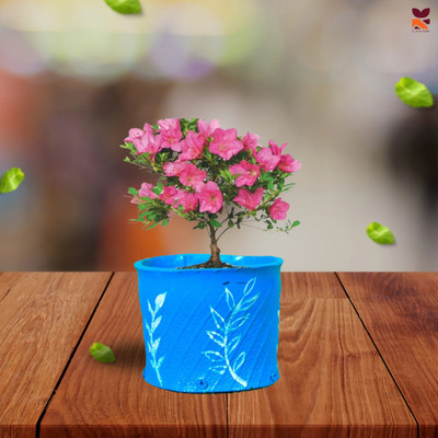 HUNAR TRIBE HH003 Plant Container Set(Rubber)
