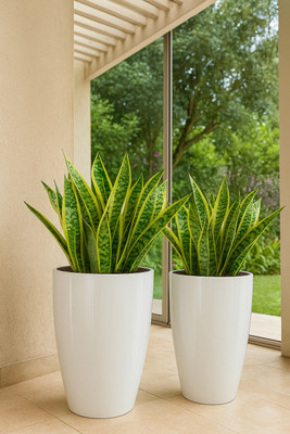 SAROJTRADERS Tower pot 14 inches white Plant Container Set(Pack of 2, Plastic)