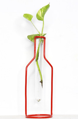 insignia decor Modern Test Tube Planter Table and Shelf Decor Premium Red Finish with Test Tube Plant Container Set(Metal, Glass)