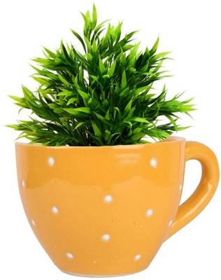 GleamSun Ceramic Cup Shaped Flower Pot (Color : Orange ) Plant Container Set Plant Container Set(Ceramic)