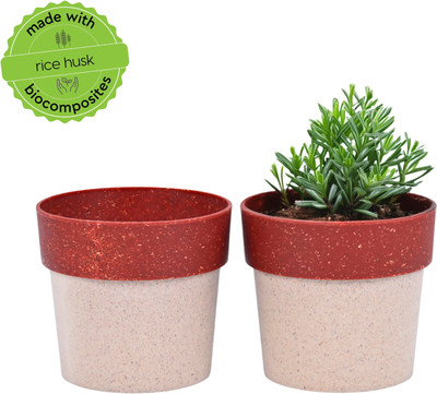 Eha Earth Friendly Ecopod Small Pots for Plant | 4 Inch | Table Top Planters | Plant Container Set(Pack of 2, Biocomposite)