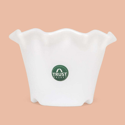 TrustBasket Blossom Pot 6 Inch White Set of 1 Plant Container Set(Plastic)