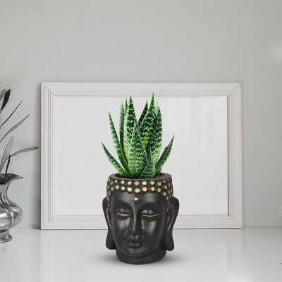 THEAMPETHAPARA Buddha Head Planter Pot for Plants Flowers Plant Container Set(Ceramic)