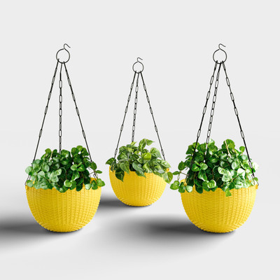 Yuccabe Italia SHERA Rattan Hanging Flower Pots | 8.5 Inch Planters for Balcony & Home Décor Plant Container Set(Pack of 3, Plastic)