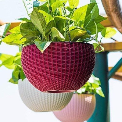 shree parshva Rattan woven hanging pot plastics euro baskets Plant Container Set(Pack of 3, Plastic)