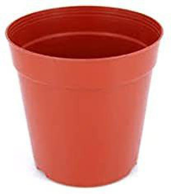 Naturally Green nursery pot 4 inch malta (pack of 10) Plant Container Set(Pack of 10, Plastic)