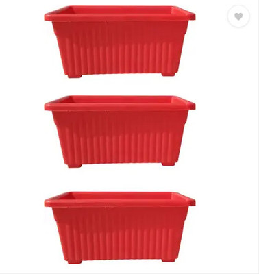 podhghar Plant Container Set(Pack of 3, Plastic)