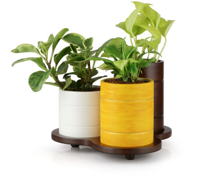 GreenUpMySpaces Multicolor Planter Pots (Set of 3) With Stand Plant Container Set(Wood)
