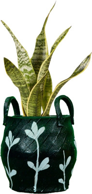 HUNAR TRIBE MM004 Plant Container Set(Rubber)
