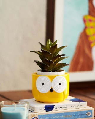 HomifyArt Yellow Owl Mini Planter Pot, Handcrafted, Succulents & Indoor Plants Size 4x3 Plant Container Set(Poly-Resin)