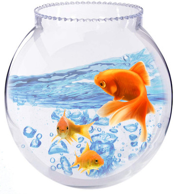 MAGICMOON 2 L Fish Bowl