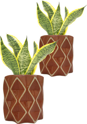 Gupta Ceramic Reddish Brown Diamond Pot Size 4x5 inch GH0012-03_Packof2 Plant Container Set(Pack of 2, Ceramic)