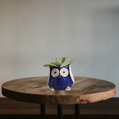 Bright Shop Ceramic Planters Pot Blue, Owl Shape Planter For Plant.(Plants Not Included) Plant Container Set(Ceramic)