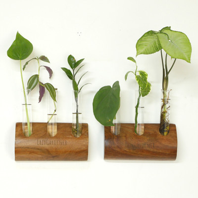 lazy gardener Timber Grove Trio Wall-Mounted (Pack of 2) Plant Container Set(Pack of 2, Wood)