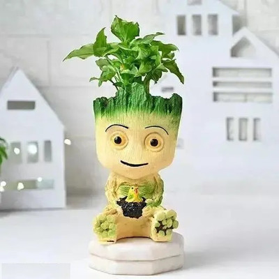 The Vayu Store Baby Groot with Bird Basket Design Resin Pot Unique & Trendy Design Plant Container Set(Poly-Resin)