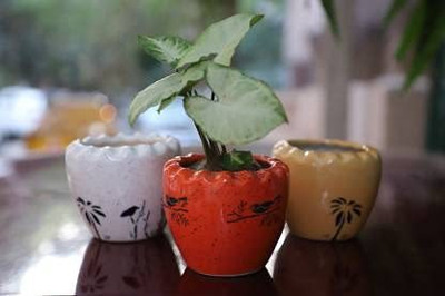 THE HIMALAYA CRAFT Plant Container Set(Pack of 3, Ceramic)