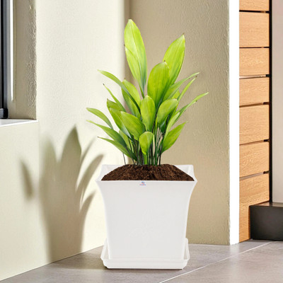 Heart Home Premium Flower Pots for Garden with Bottom Plates | White Plant Container Set(Plastic)
