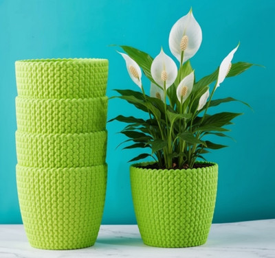 Nursery Hub 5 Premium Decorative planters flower plant pots gamla home indoor gardening Plant Container Set(Pack of 5, Plastic)