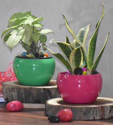 SONE KEY CHIDIYA Trendy Pot Combo/Indoor/Outdoor/Plant Container Green,Maroon ,5,5inch Pack 2 Plant Container Set(Pack of 2, Metal)