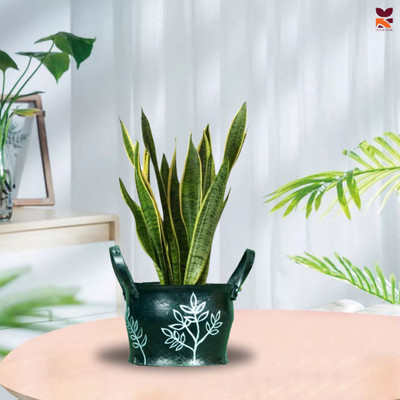 HUNAR TRIBE MM016 Plant Container Set(Rubber)