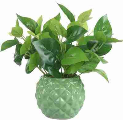 am group Ceramic Planter Pot (Diamond Texture/Round Shape, green Color) (Pack Of 1) Plant Container Set(Ceramic)