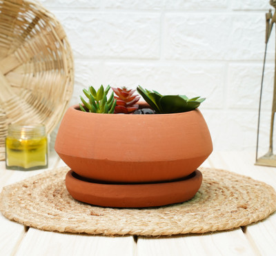 GOLD DUST Bonsai Terracotta Pots For Plants Plant Container Set(Clay)