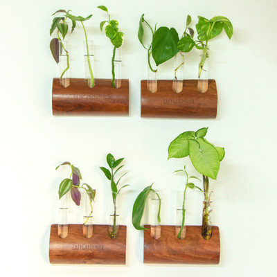 lazy gardener Timber Grove Wall Mount Planter Plant Container Set(Pack of 4, Wood)