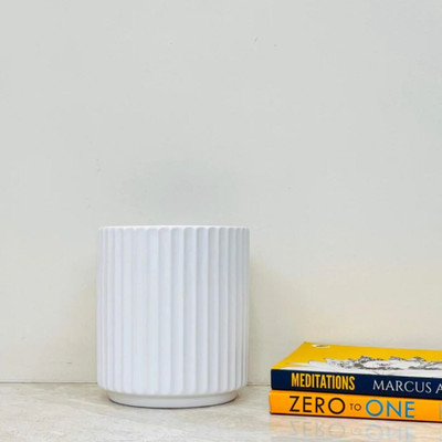 Bharat Pushpam White Ribbed - Modern Indoor Plant Container Set(Ceramic)