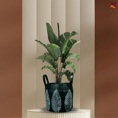 HUNAR TRIBE MM005 Plant Container Set(Rubber)