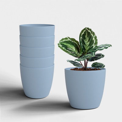 Yuccabe Italia SHERA Stella Flower Pots for Home Décor | 6 Inch Planter for Indoor & Outdoor Plant Container Set(Pack of 6, Plastic)