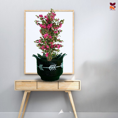 HUNAR TRIBE WP002 Plant Container Set(Rubber)