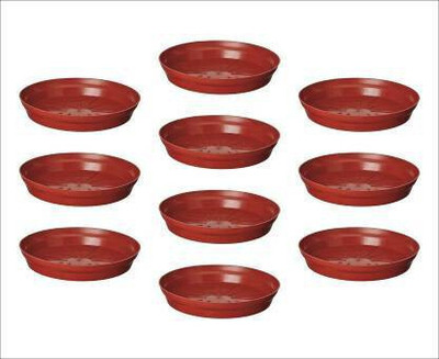 Virajsanchi Enterprises 8 Inches Wide Premium Quality Saucer Base Tray for Pots (Pack Of 10) Plant Container Set(Pack of 10, Plastic)