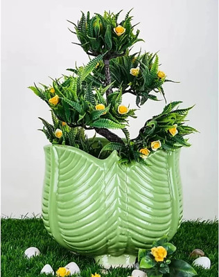 agarwals enterprises MEDIUM GOBHI SHAPED CERAMIC POT Plant Container Set(Ceramic)