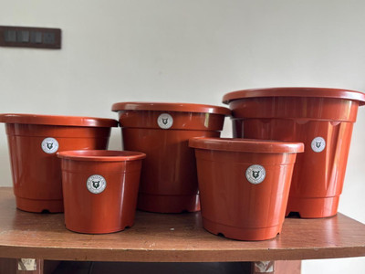 G V Greens Plant Container Set(Pack of 6, Plastic)