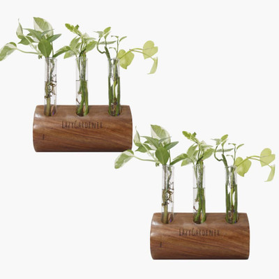 lazy gardener Test Tube Planter with Wooden Stand for Living Room Plant Container Set(Pack of 2, Wood)
