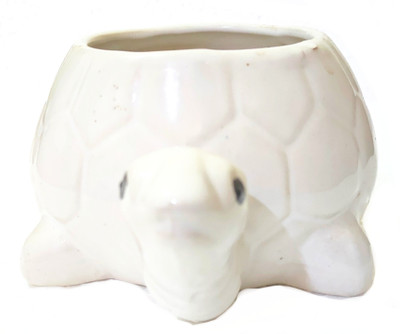 agarwals enterprises TORTOISE POT/ PLANT CONTAINERS Plant Container Set(Ceramic)