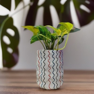 HomeFrills Cylinder shape White Colour & multicolour line ceramic planters Pot Size-18 cm Plant Container Set(Ceramic)