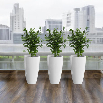 LIGOSIA Plastic Tower Pot 14 Inch Plant Container Set(Pack of 3, Plastic)