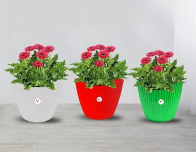 VINSHRA Gamla Durable-11 inch Round Plastic (white-Red-green Garden Balcony Flower Pot-3 Plant Container Set(Pack of 3, Plastic)