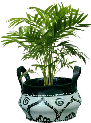 HUNAR TRIBE MM002 Plant Container Set(Rubber)