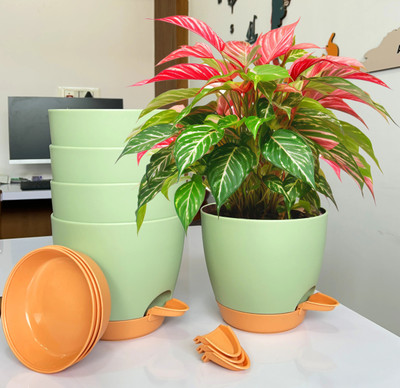 Mithark 5PCs [6"/6.7" in] Self Watering Flower Pots Indoor Outdoor Drainage Hole Saucer Plant Container Set(Pack of 5, Plastic)