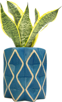 Gupta Ceramic Blue Diamond Pot Size 4x5 inch GH0012-01 Plant Container Set(Ceramic)