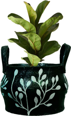 HUNAR TRIBE Plant Container Set(Rubber)