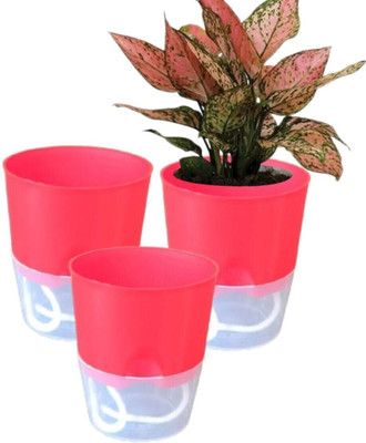KUMUDAM Self Watering Pots/Planters For Home/Office Plant Container Set(Pack of 3, Plastic)