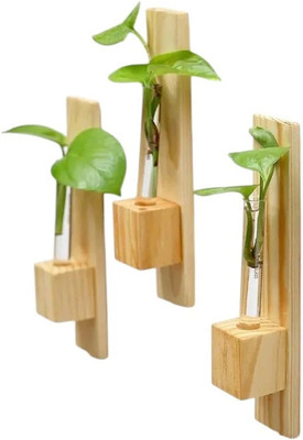 Gunnu Sales wooden test tube planter Plant Container Set(Pack of 4, Wood)