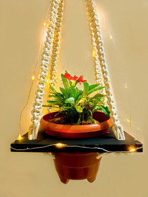 Khush Its Amazing 1 Macrame Knotting Port Self Black With LED Light Plant Container Set(Wood)