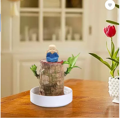GRIVA CREATION Mini Brazalian wood(Pack of 1)