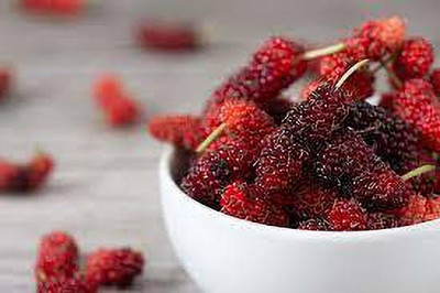 Oliver mulberry(shahatoot) fruit seeds Seed(27 per packet)