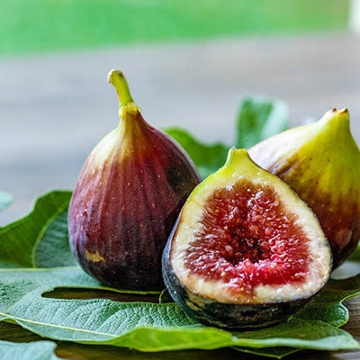 EverbloomGarden Indian Fig Plant(Hybrid, Pack of 1)